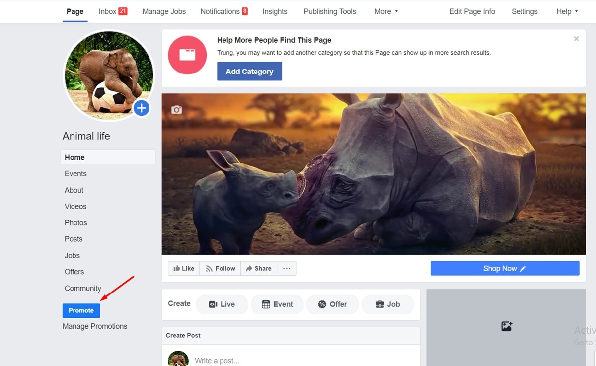 Ejecute anuncios de Facebook para atraer tráfico a la tienda Shopify