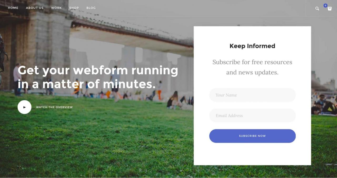 Coloque formularios de registro en su sitio web